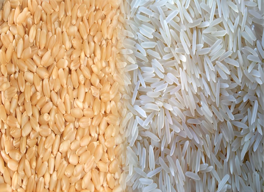 La producción mundial de arroz alcanza un récord para 2023-2024