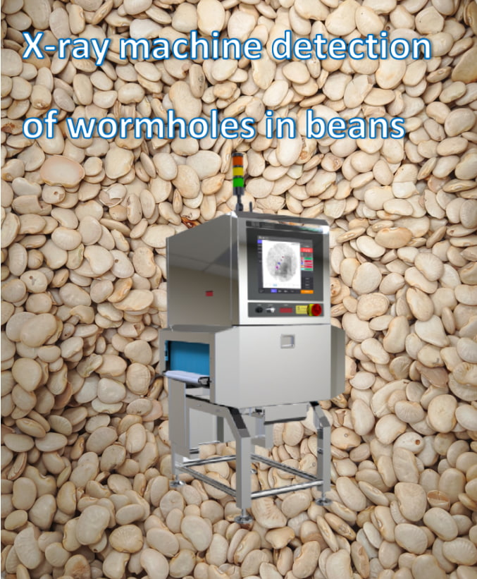 SDV's X-ray Machine Achieves Remarkable Breakthrough in Insect Damage Detection for White Kidney Beans