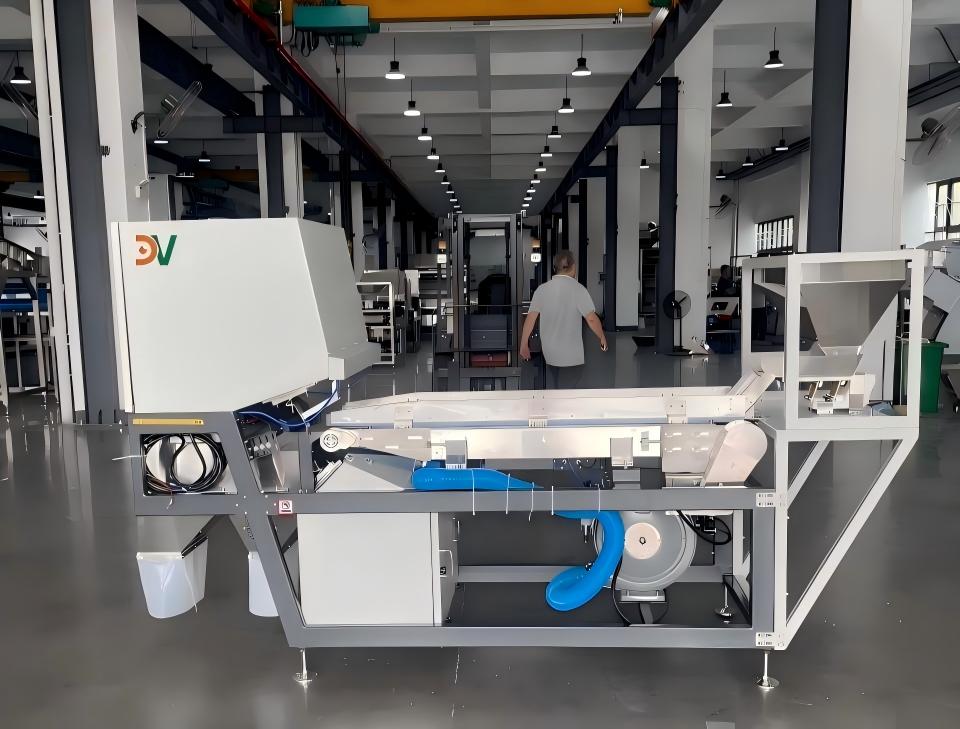 SDV' belt-type AI Walnut Sorting Equipment Gains Popularity in Europe, Client Places Repeat Order for Four Units